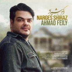 دانلود آهنگ احمد فیلی نرگس شیراز با کیفیت 320